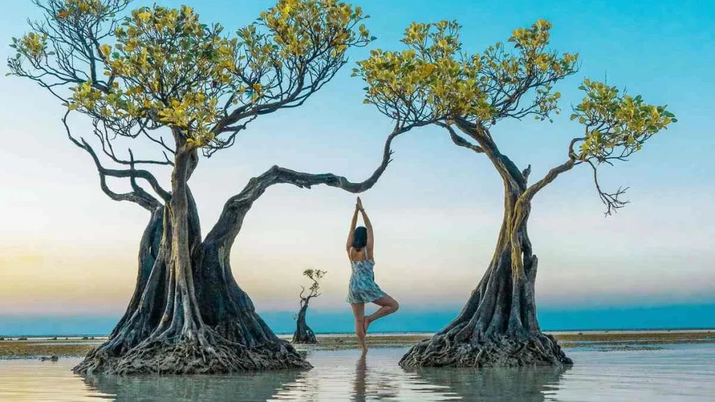 Walakiri Beach mangrove trees, East Sumba