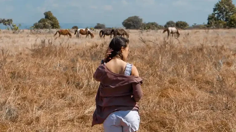 Traveller on the Puru Kambera savanna, East Sumba