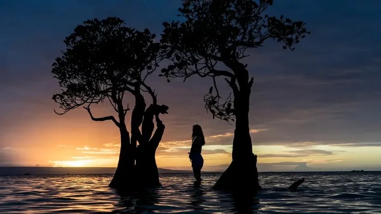 Walakiri Beach mangroves at sunset, East Sumba