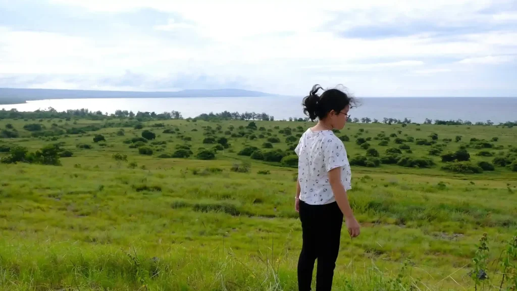 Traveller on a green savanna in Sumba