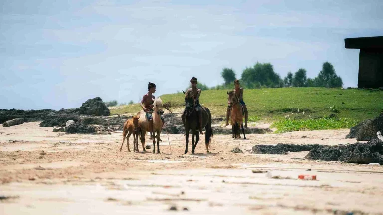 Horse riders at Pero Beach, West Sumba