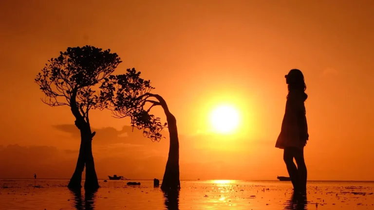 Sunset silhouette at Walakiri Beach, East Sumba